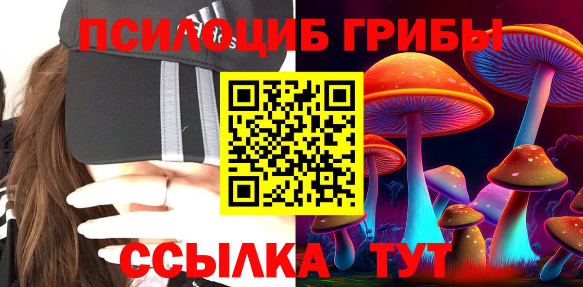 Галлюциногенные грибы Psilocybine cubensis  Галлюциногенные грибы Psilocybine cubensis  Вход с VPN  Саранск 